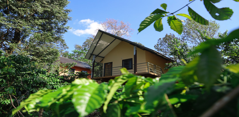 The Rain Tree Resort